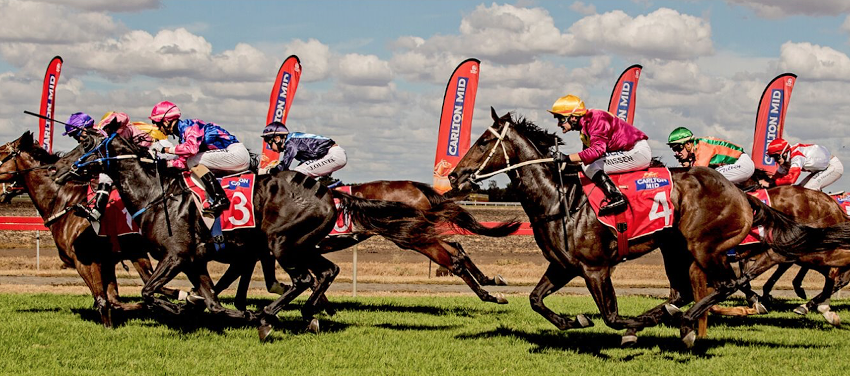 Dalby races Things to do in Dalby, Dalby races